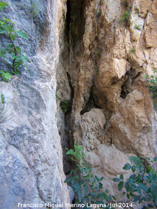 Pinturas rupestres del Abrigo del Rajn - Pinturas rupestres del Abrigo del Rajn. Rajn