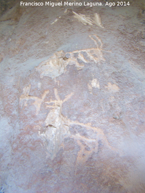 Petroglifos y pinturas rupestres del Abrigo de la Tinaja II - Petroglifos y pinturas rupestres del Abrigo de la Tinaja II. Panel