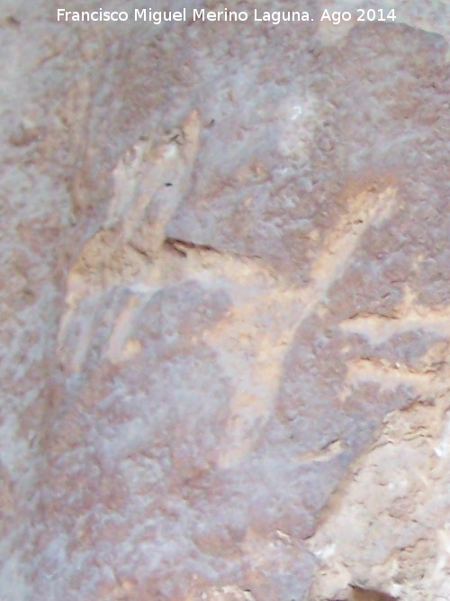 Petroglifos y pinturas rupestres del Abrigo de la Tinaja II - Petroglifos y pinturas rupestres del Abrigo de la Tinaja II. Zooformo