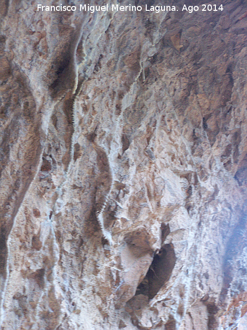 Petroglifos y pinturas rupestres del Abrigo de la Tinaja II - Petroglifos y pinturas rupestres del Abrigo de la Tinaja II. Formaciones calizas
