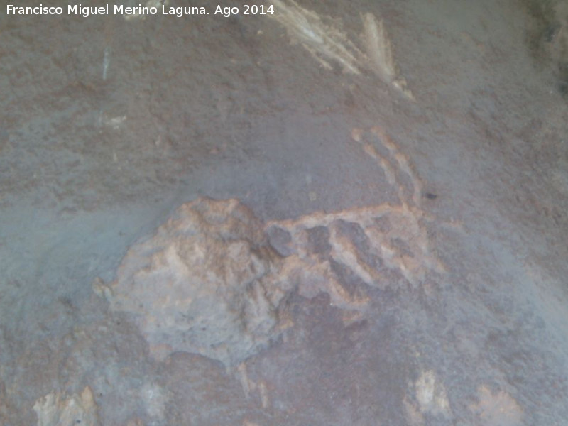 Petroglifos y pinturas rupestres del Abrigo de la Tinaja II - Petroglifos y pinturas rupestres del Abrigo de la Tinaja II. Cabra