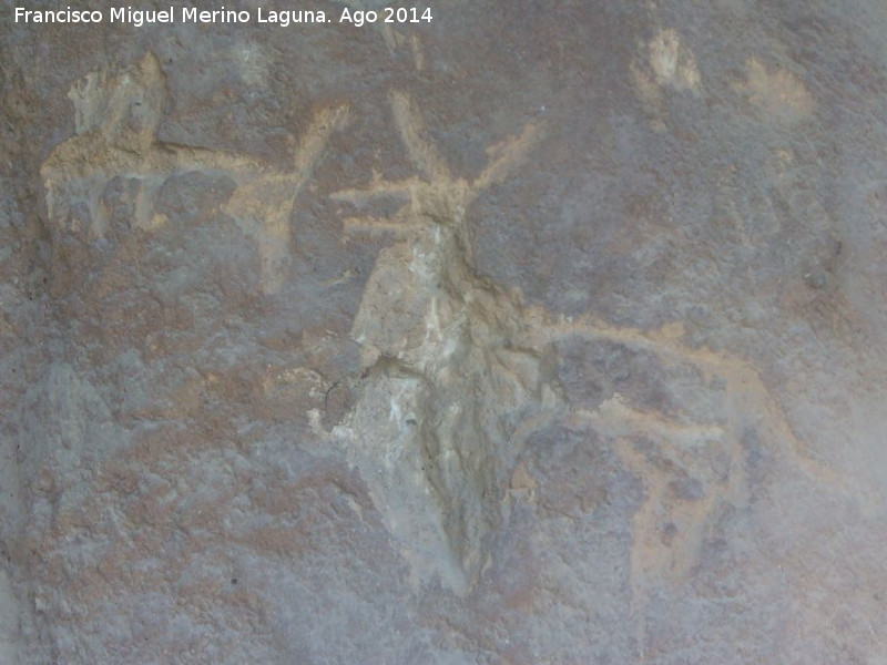 Petroglifos y pinturas rupestres del Abrigo de la Tinaja II - Petroglifos y pinturas rupestres del Abrigo de la Tinaja II. Zooformos