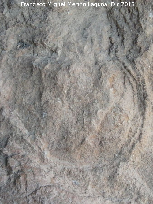 Petroglifos rupestres del Abrigo de la Tinaja III - Petroglifos rupestres del Abrigo de la Tinaja III. Posible petroglifo