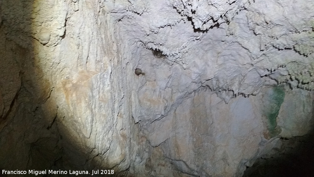 Cueva neoltica de los Corzos - Cueva neoltica de los Corzos. 