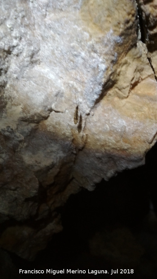 Cueva neoltica de los Corzos - Cueva neoltica de los Corzos. Tipula