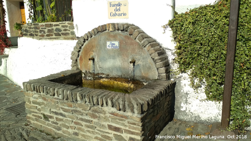 Fuente del Calvario - Fuente del Calvario. 