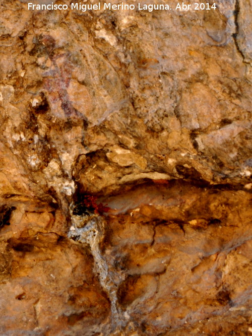 Pinturas rupestres de la Cueva del Engarbo I. Grupo II. Panel V - Pinturas rupestres de la Cueva del Engarbo I. Grupo II. Panel V. Panel