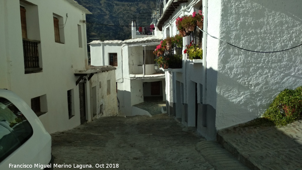 Calle Campanas - Calle Campanas. 