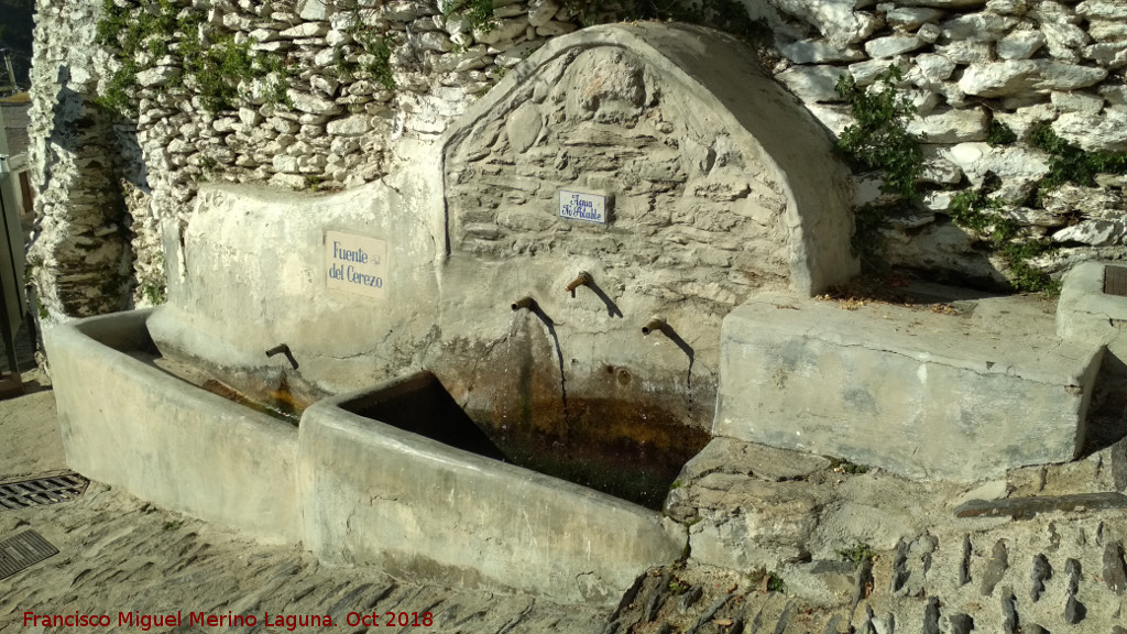 Fuente del Cerezo - Fuente del Cerezo. 