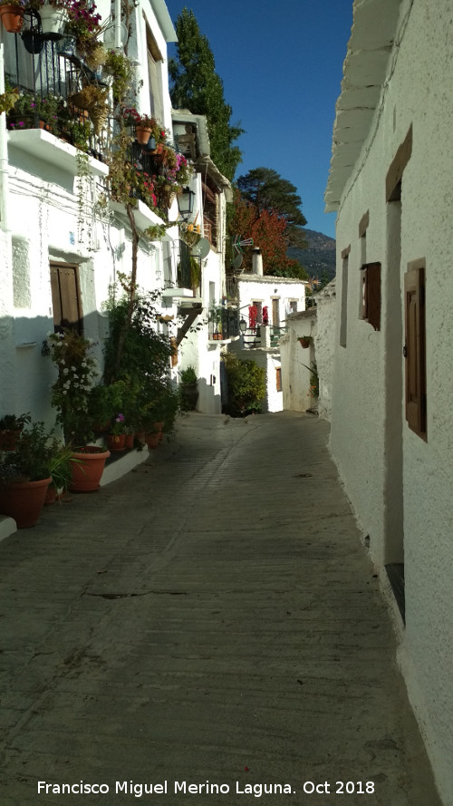 Calle Vieja - Calle Vieja. 