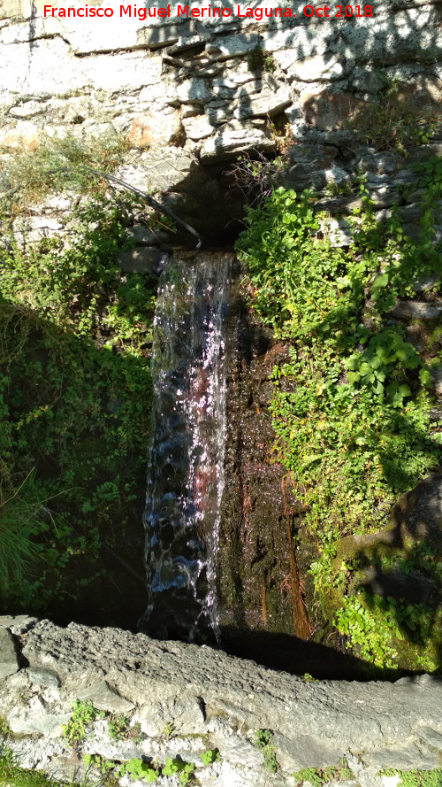 Parque Maestro Nevot - Parque Maestro Nevot. Cascada