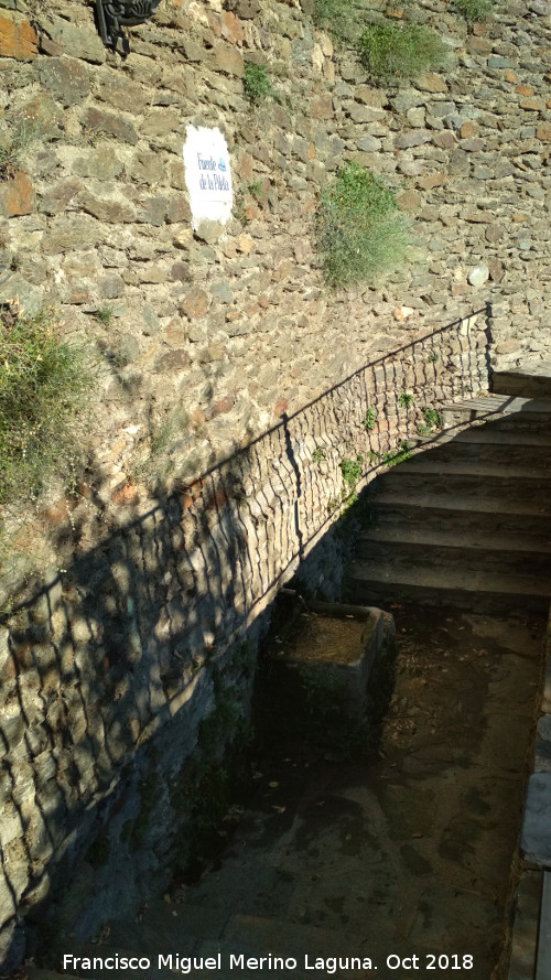 Fuente de la Pileta - Fuente de la Pileta. 