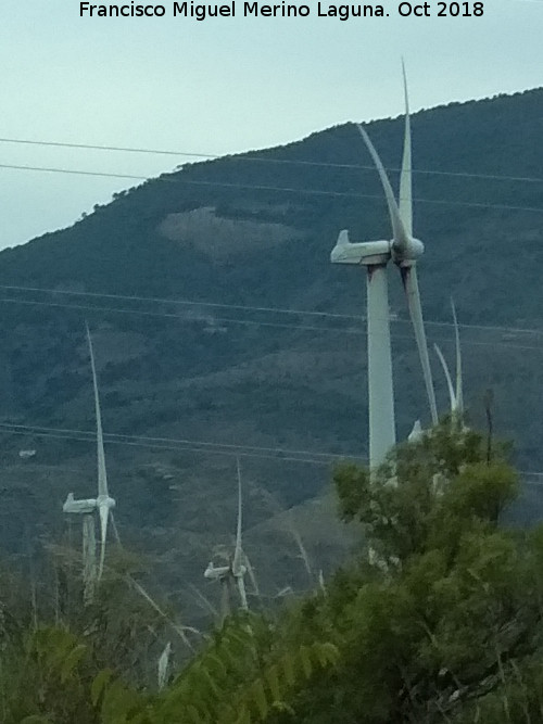 Parque elico de Las Lomas - Parque elico de Las Lomas. 