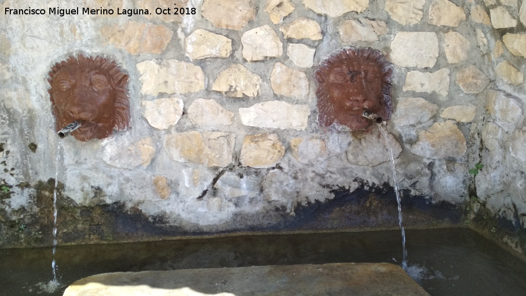 Fuente de los Leones - Fuente de los Leones. Caos