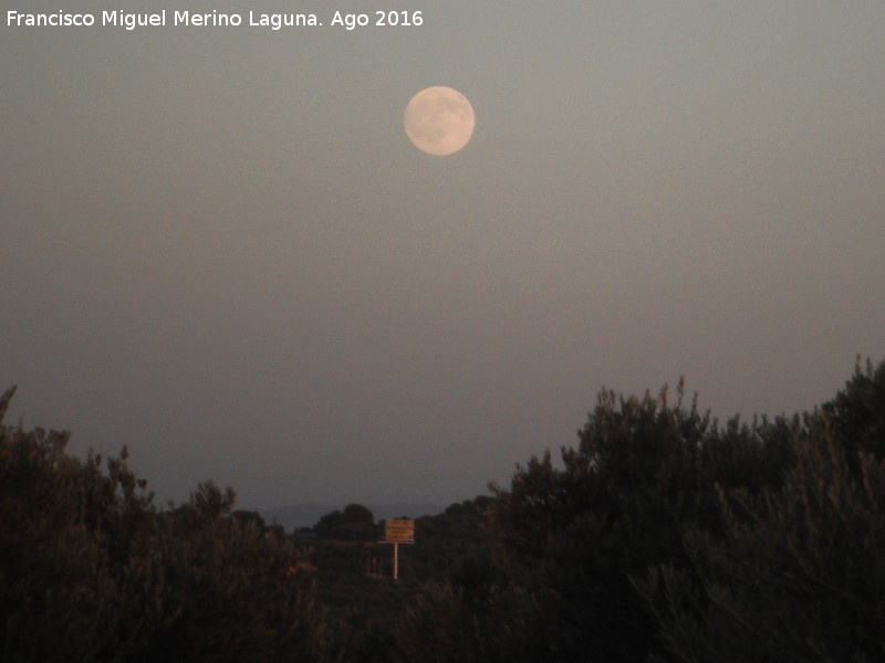 Luna - Luna. Por los campos de Baeza