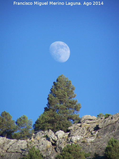 Luna - Luna. Las Castaetas - Villacarrillo