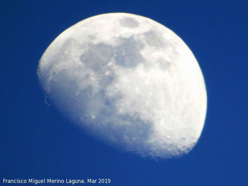 Luna - Luna. Navas de San Juan