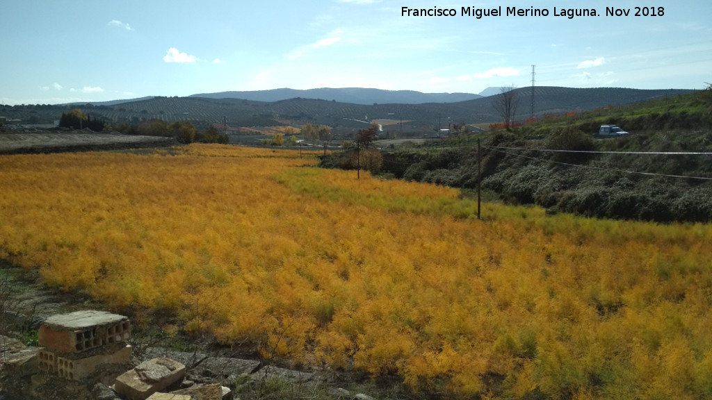 Casera del Arroyo de la Dehesilla - Casera del Arroyo de la Dehesilla. Tierras de cultivo