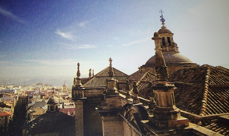 Catedral de Jaén. Tejados - Catedral de Jaén. Tejados. 