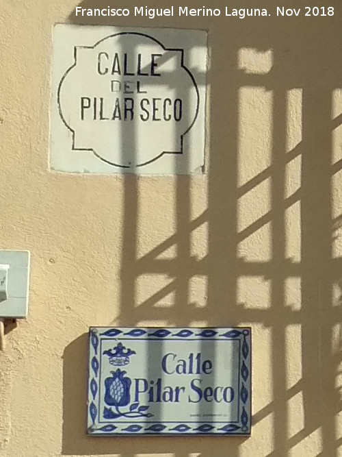 Calle Pilar Seco - Calle Pilar Seco. 