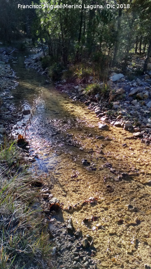 Arroyo de Valdecuevas - Arroyo de Valdecuevas. 