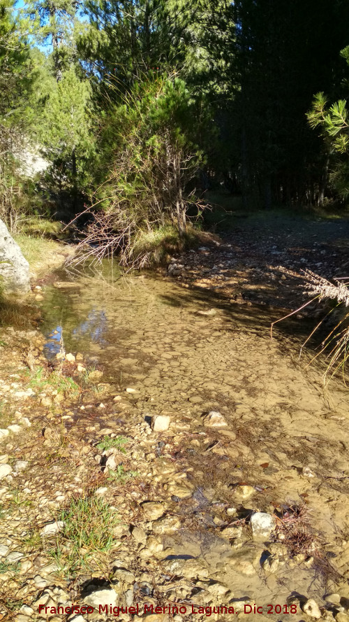 Arroyo de Valdetrillo - Arroyo de Valdetrillo. Cerca de su desembocadura