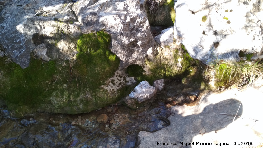 Nacimiento del Arroyo de Valdecuevas - Nacimiento del Arroyo de Valdecuevas. 