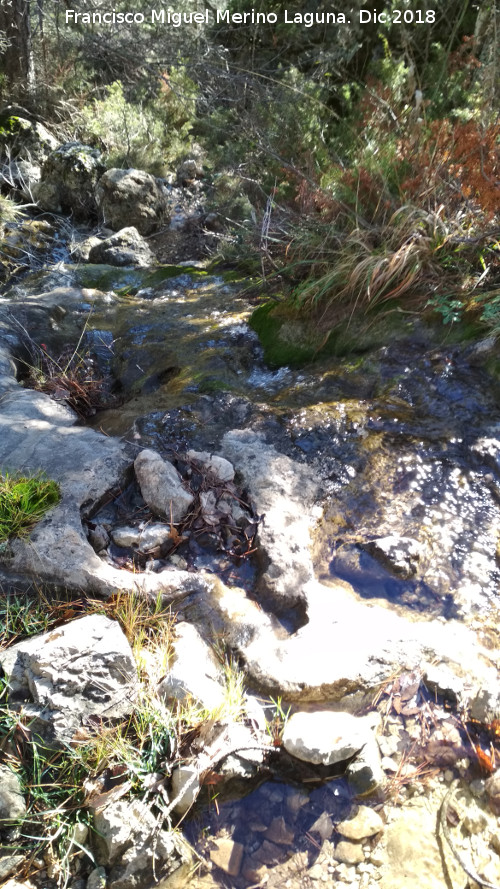 Nacimiento del Arroyo de Valdecuevas - Nacimiento del Arroyo de Valdecuevas. 