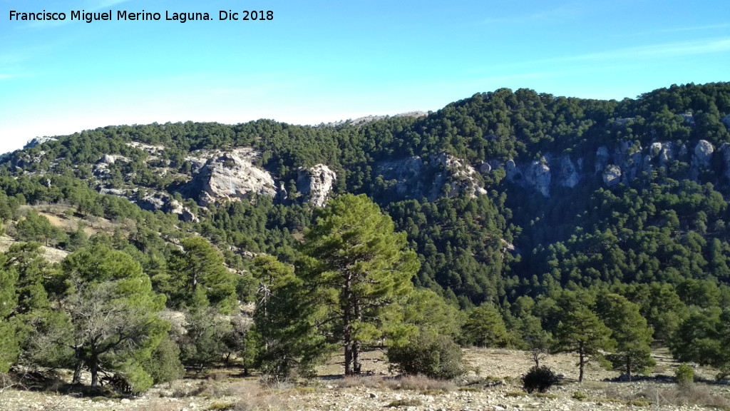 Puerto de Guadahornillos - Puerto de Guadahornillos. Vistas