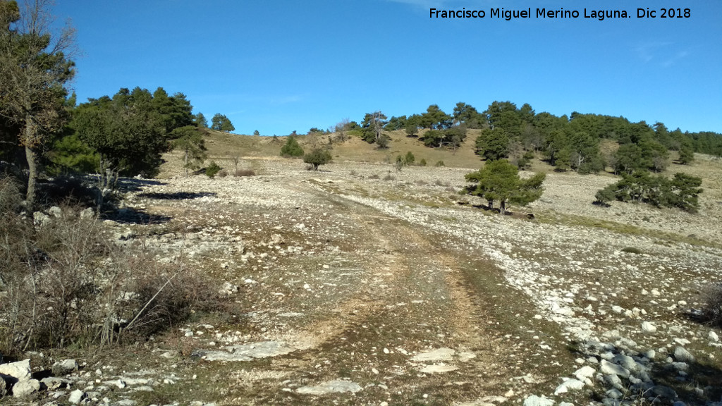 Camino de la Nava del Espino - Camino de la Nava del Espino. Ya en el Puerto de Guadahornillos