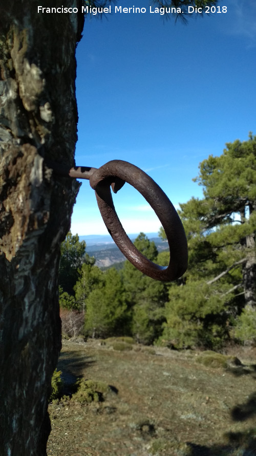 Refugio de Guadahornillos - Refugio de Guadahornillos. Argolla