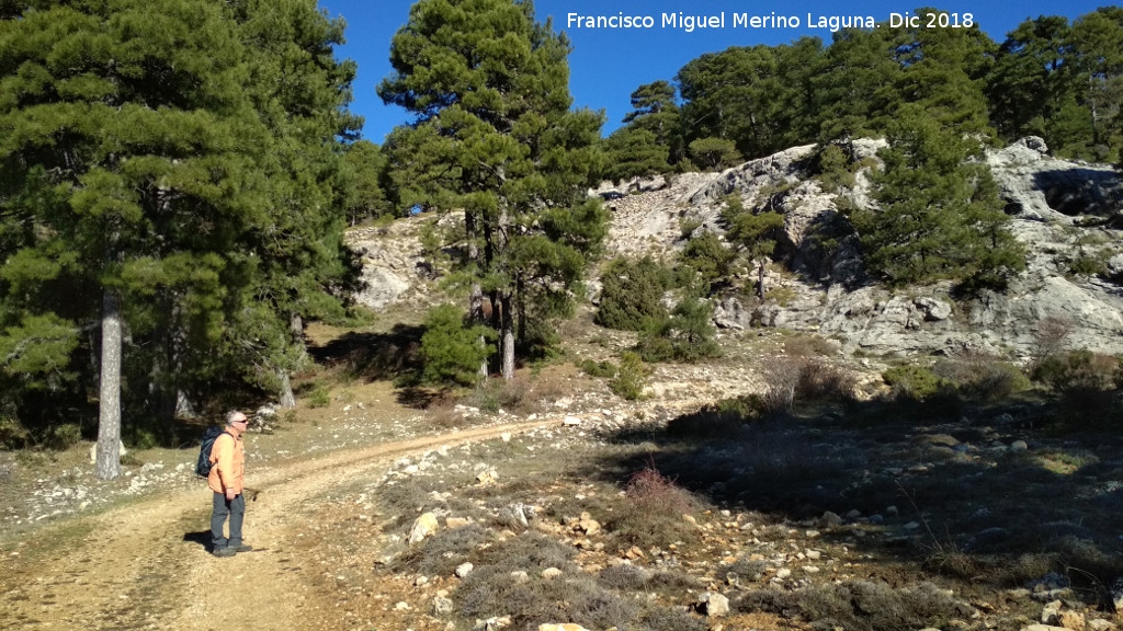Camino de la Cueva de los Alcaetes - Camino de la Cueva de los Alcaetes. Cerca del Puerto de Guadahornillos