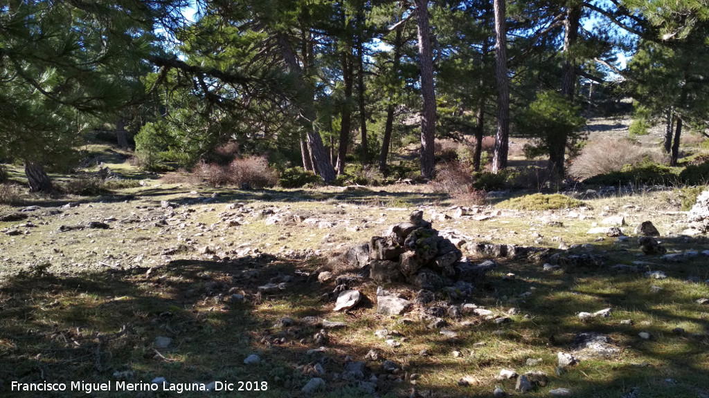 Camino de la Cueva de los Alcaetes - Camino de la Cueva de los Alcaetes. Mojn