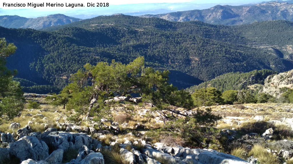 Calerilla - Calerilla. Vistas