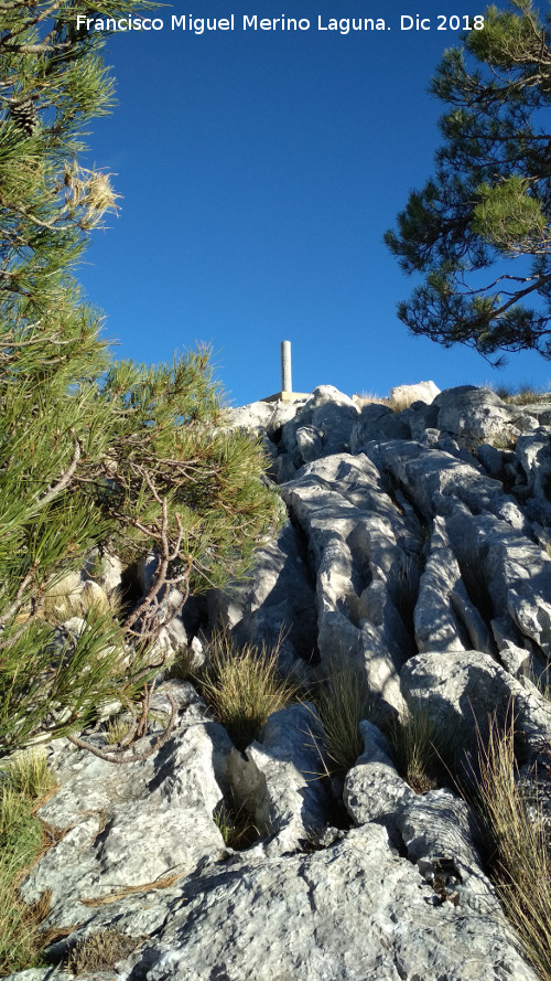 Vrtice geodsico de la Calerilla - Vrtice geodsico de la Calerilla. 