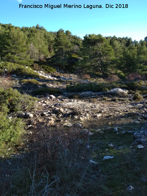 Navillas de Capazul - Navillas de Capazul. 