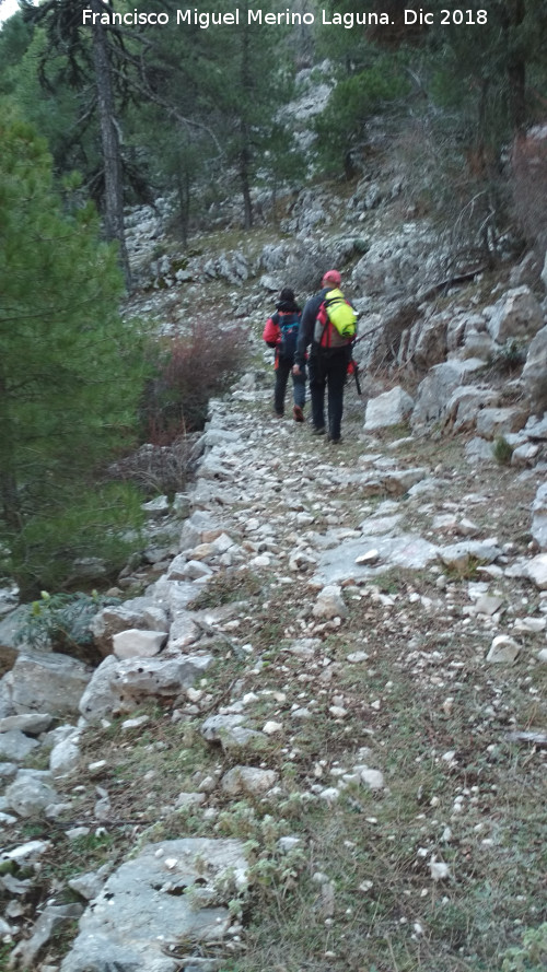 Camino viejo de Valdetrillo - Camino viejo de Valdetrillo. 