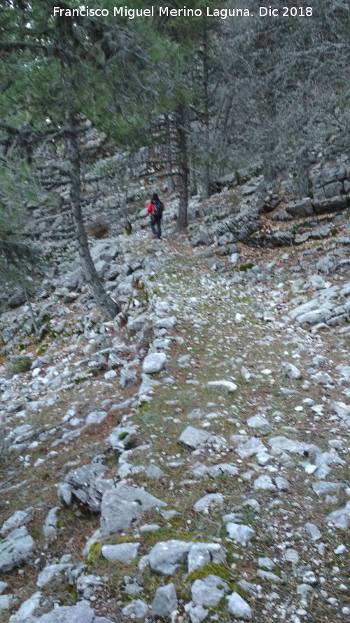 Camino viejo de Valdetrillo - Camino viejo de Valdetrillo. 