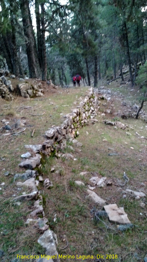 Camino viejo de Valdetrillo - Camino viejo de Valdetrillo. 