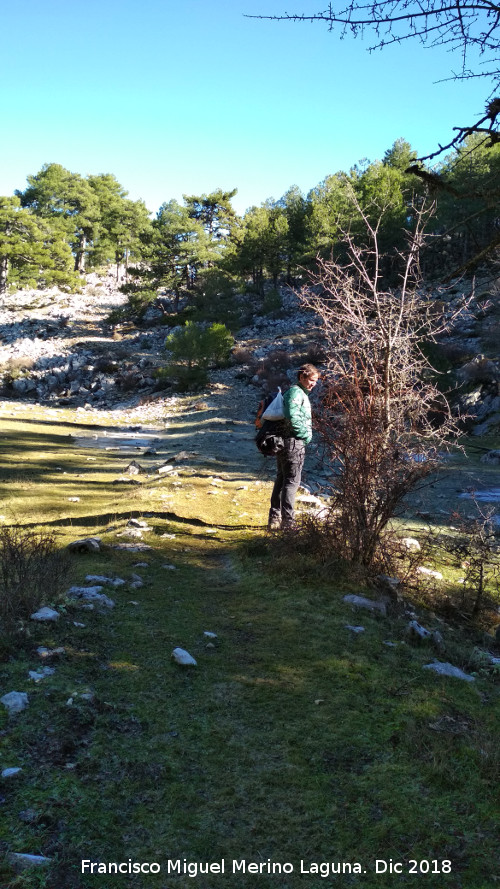 Camino viejo de la Cueva de los Alcaetes - Camino viejo de la Cueva de los Alcaetes. 