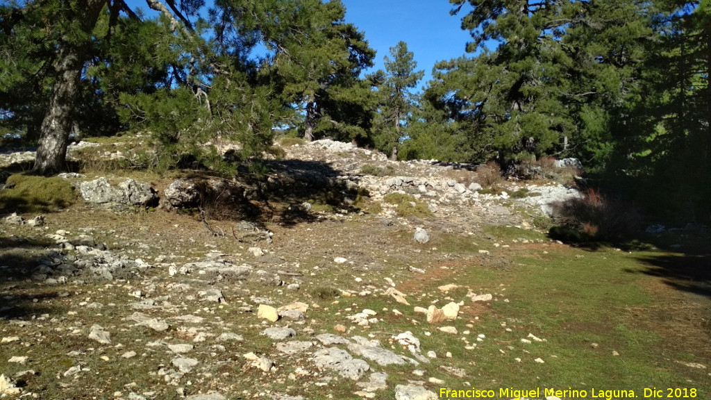 Camino viejo de la Cueva de los Alcaetes - Camino viejo de la Cueva de los Alcaetes. 