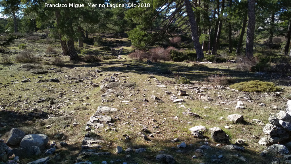 Camino viejo de la Cueva de los Alcaetes - Camino viejo de la Cueva de los Alcaetes. 