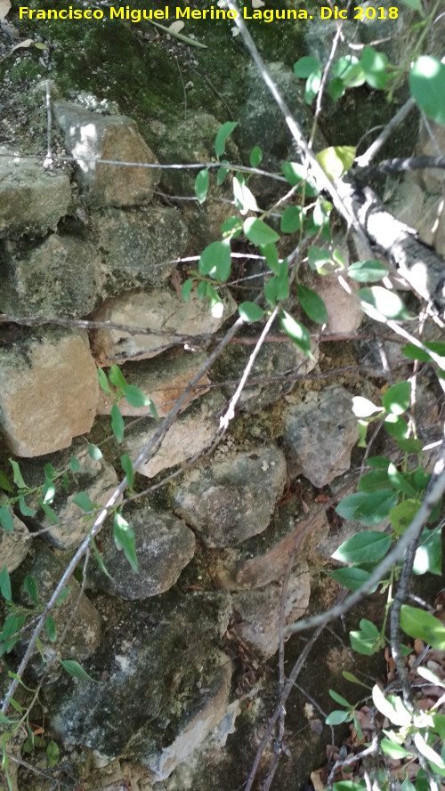 Puesto de Tiro de las Peas de Castro - Puesto de Tiro de las Peas de Castro. Muro trasero