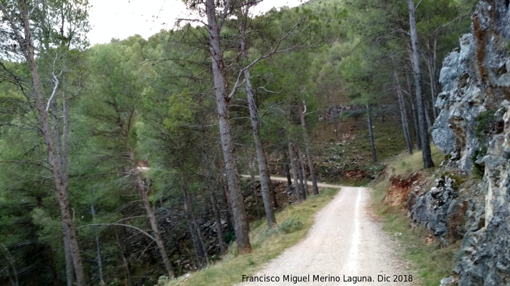 Camino de la Zarza - Camino de la Zarza. 