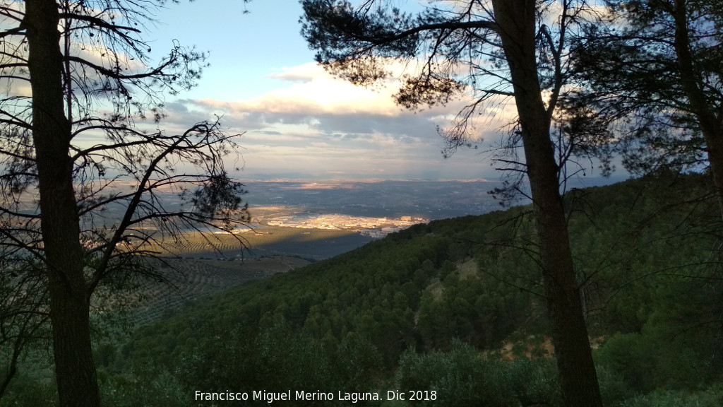 Camino de la Zarza - Camino de la Zarza. Vistas hacia el Polgono de los Olivares