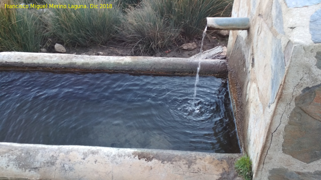 Fuente Nueva de la Puta - Fuente Nueva de la Puta. Cao