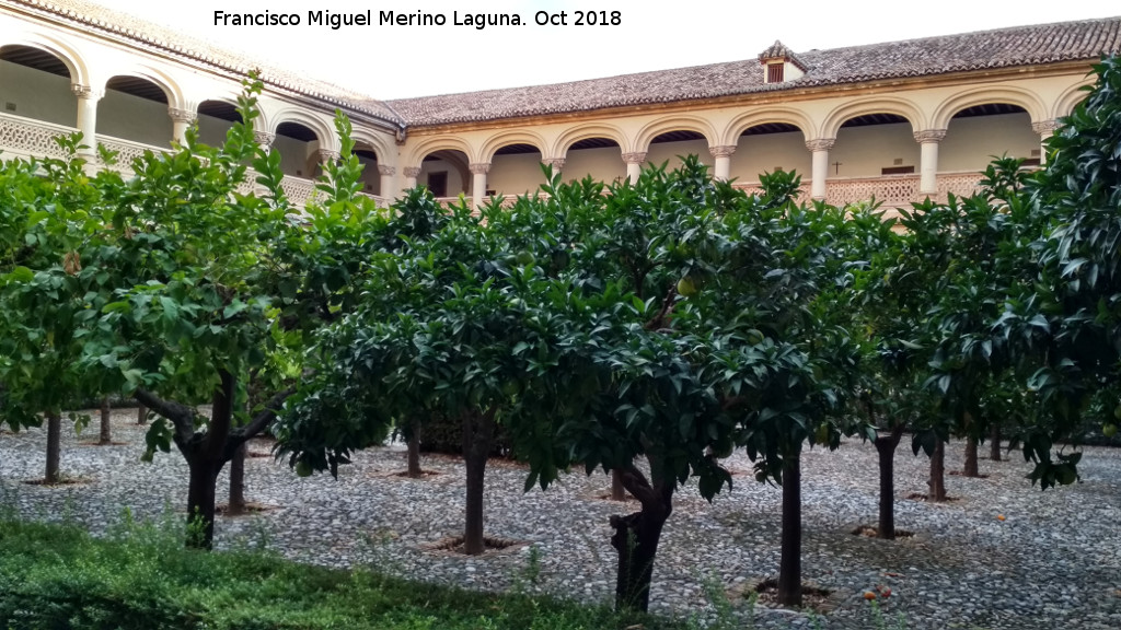 Monasterio de San Jernimo. Claustro Principal - Monasterio de San Jernimo. Claustro Principal. Naranjos