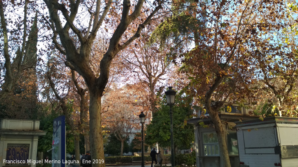 Plaza Trinidad - Plaza Trinidad. 