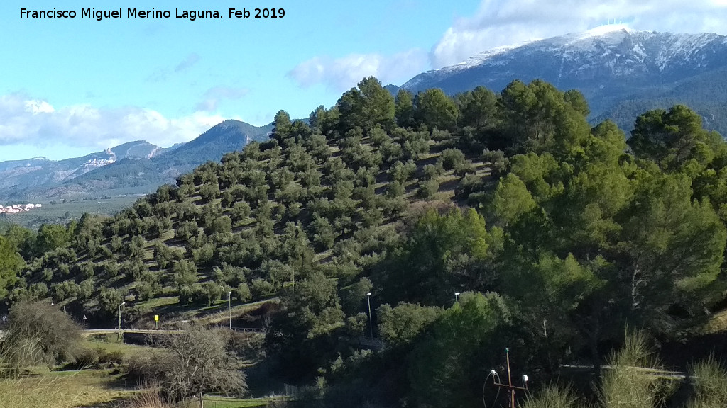 Cerro Molina - Cerro Molina. Desde el Mirador Caada Morales