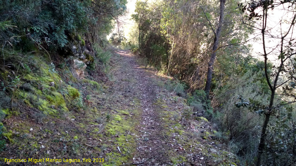 Camino del Chorren - Camino del Chorren. 